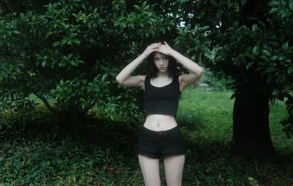 Картинка trees, leaves, women, dark hair, standing, pierced navel, looking at viewer, bare midriff