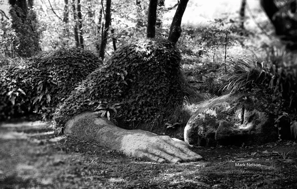 Фигура, фотограф, магия чб фото, Monochromatic, Mark Nelson