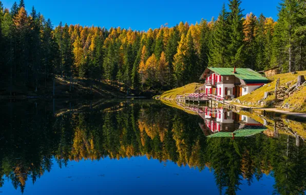 Картинка осень, лес, пейзаж, природа, озеро, дом, отражение, берега