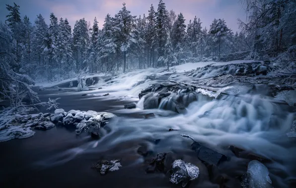 Зима, лес, деревья, река, Норвегия, каскад, Norway, Рингерике