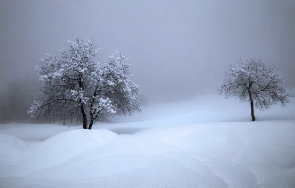 Картинка зима, снег, деревья, Швейцария, сугробы