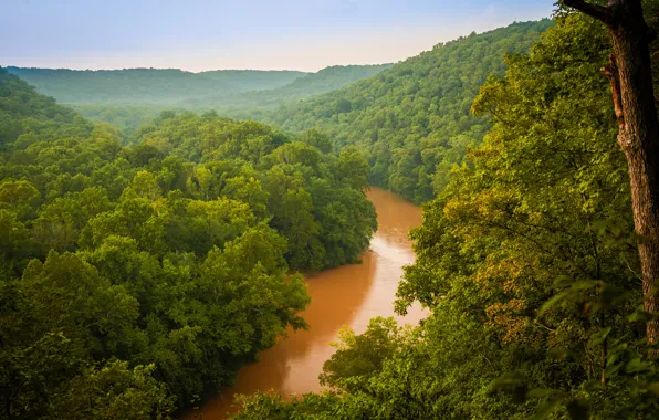 Картинка зелень, лес, деревья, река, дымка, США, Mammoth Cave National Park