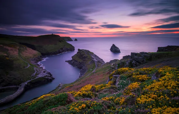 Картинка море, небо, закат, цветы, камни, скалы, побережье, склон