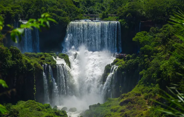 Зелень, лес, лето, водопад, поток, каскад, туристы