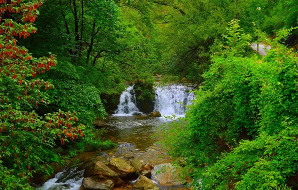 Водопад, Деревья, Лес, Камни, Waterfall, Forest, Trees