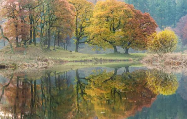 Осень, деревья, отражение, река, Англия, England, Cumbria, River Brathay