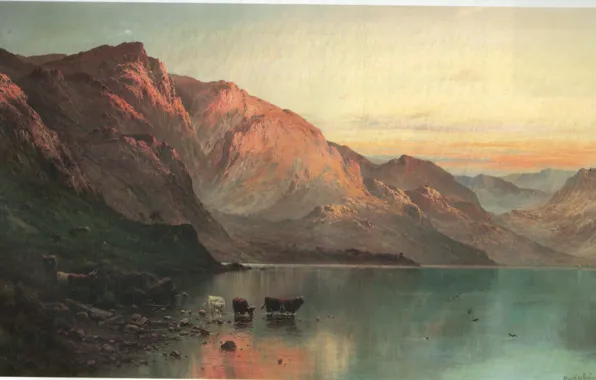 Картинка горы, озеро, буйволы, BREANSKI, LOCH AWE