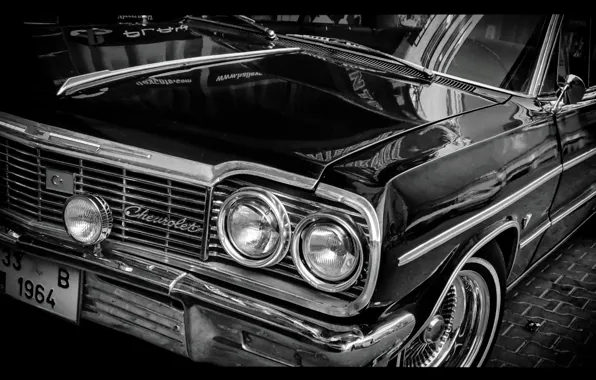Classic, impala