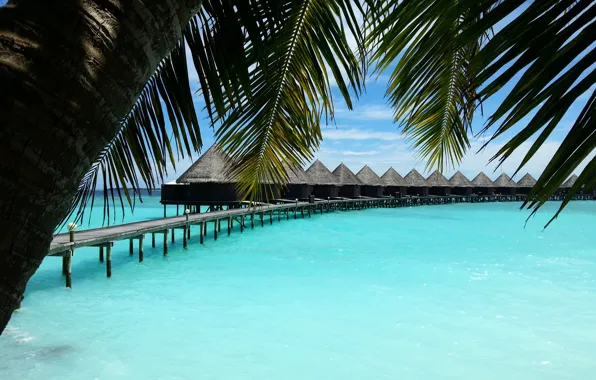 Океан, релакс, остров, Мaldives