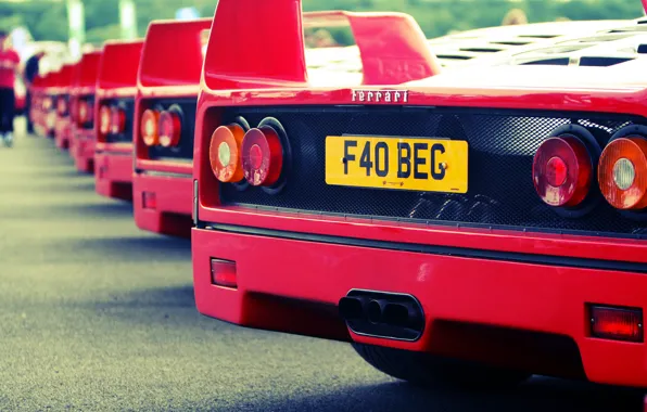 Красный, Ferrari, red, феррари, back, f40, ф40