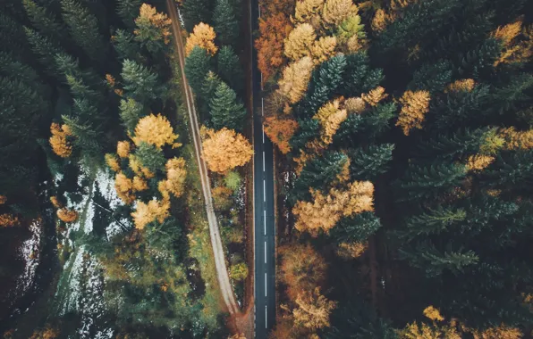 Картинка осень, лес, природа, дороги, вид сверху