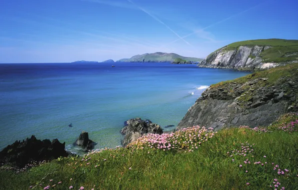 Небо, цветы, океан, скалы, Ирландия, Ireland, Slea Head, Острова Бласкет