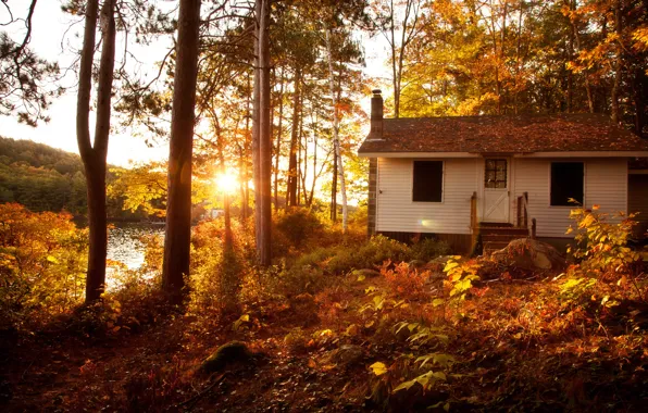 Картинка осень, лес, солнце, деревья, пейзаж, закат, вилла, дома
