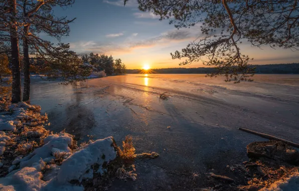 Картинка зима, деревья, закат, озеро, лёд, Норвегия, сосны, Norway