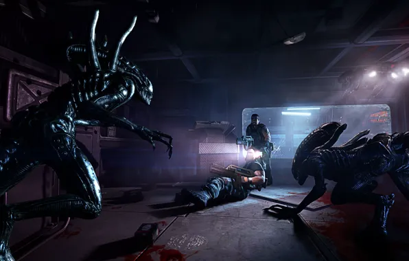 Games, Aliens, Background, Xenomorph, Aliens Colonial Marines, Battle, Marines, Humans