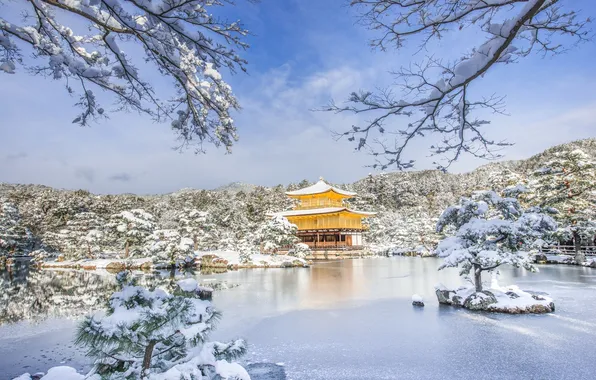 Картинка зима, лес, озеро, парк, здание, башня, Китай, архитектура