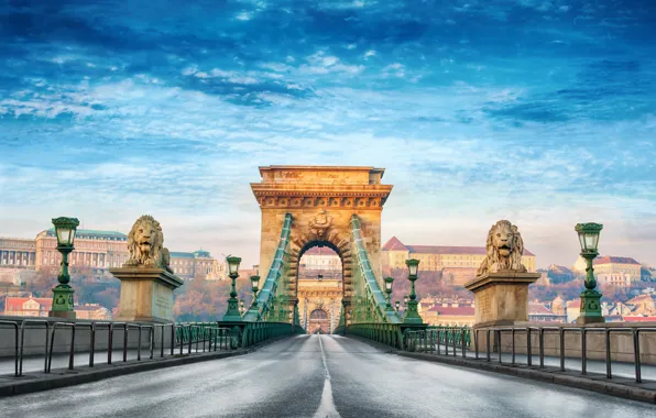 Картинка лето, город, размытость, боке, красивый вид, Венгрия, Hungary, подвесной мост