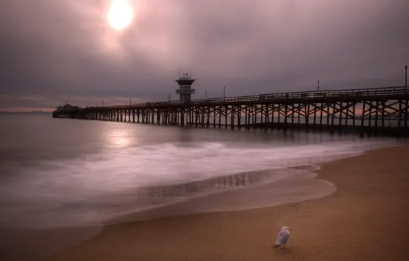 Море, небо, облака, птица, hdr, пирс, США, California