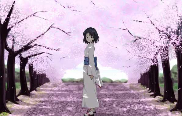 Картинка дорога, взгляд, девушка, сакура, кимоно, сияние сакуры