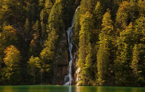 Деревья, озеро, водопад, Германия, Бавария, Кёнигсзе