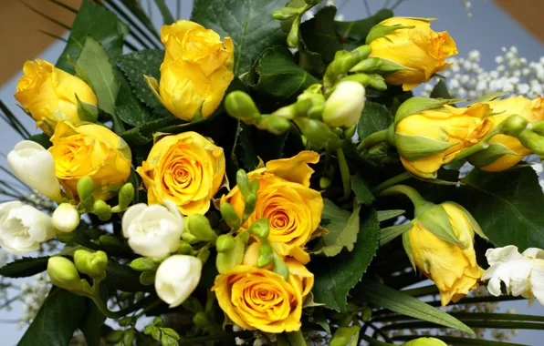 Цветок, цветы, природа, розы, букет, желтые, жёлтые