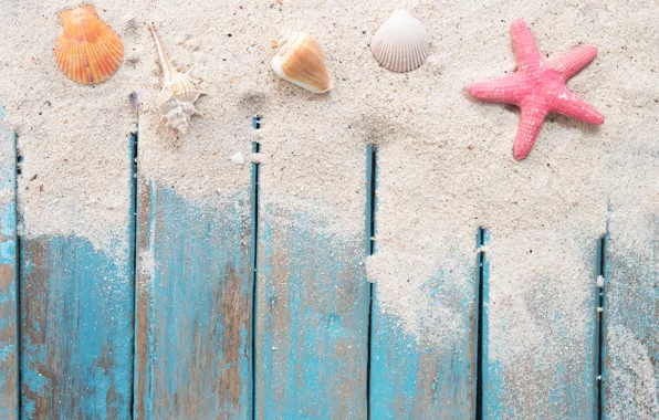 Картинка песок, пляж, звезда, ракушки, summer, beach, wood, sand