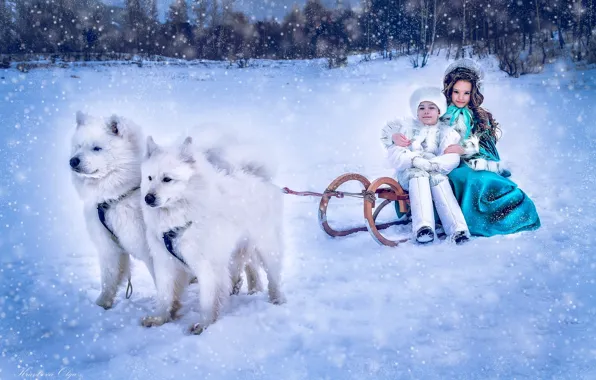Картинка зима, собаки, снег, дети, мальчик, девочка, сани, барышня