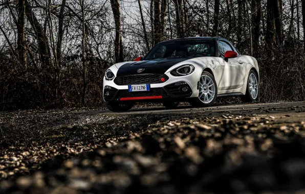 Деревья, родстер, спайдер, чёрно-белый, Abarth, 124 Spider, 2019, Rally Tribute