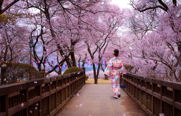 Деревья, парк, женщина, японка, весна, лепестки, Япония, сакура