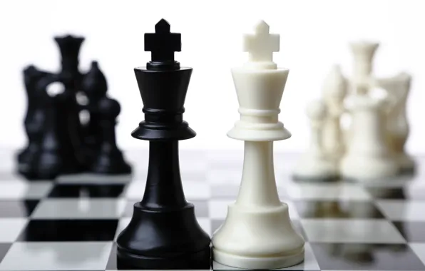 Картинка white, black, chess, king