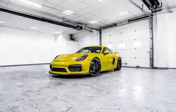 Картинка Porsche, white, cayman, room, GT4