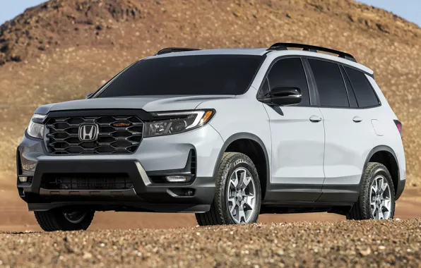 Внедорожник, Honda, SUV, Passport, 2022, Trail Sport