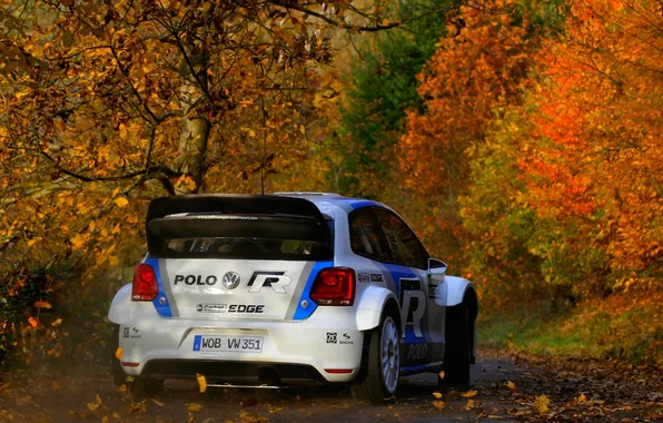 Осень, Деревья, Спорт, Volkswagen, WRC, Rally, Ралли, Поло