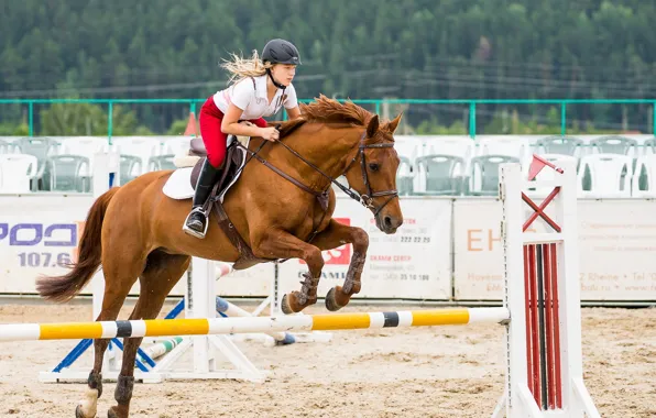 Картинка девушка, конь, спорт