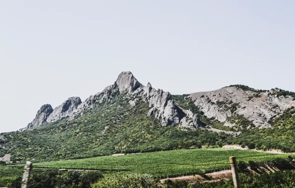 Природа, гора, крым, горный пейзаж