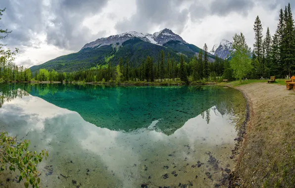 Картинка лес, облака, деревья, горы, скамейка, природа, озеро