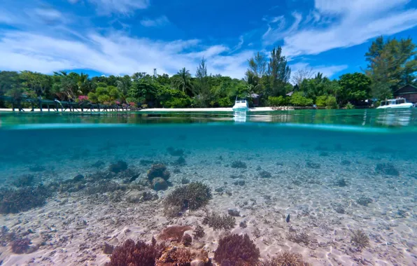 Вода, прозрачность, океан, лагуна, under the blue lagoon
