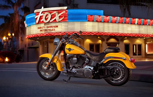 Картинка цвета, огни, мотоцикл, ярко, американский, Harley-Davidson, города., ночного