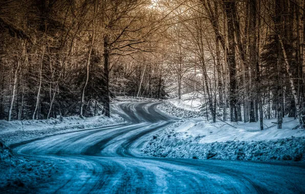 Картинка зима, дорога, лес, пейзаж