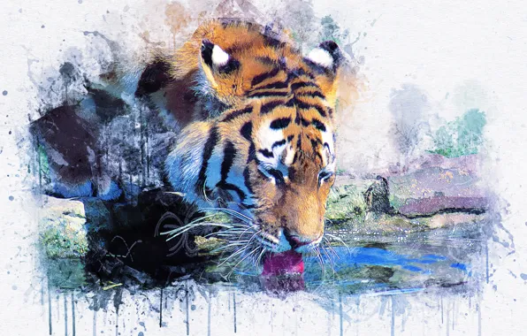 Тигр, картина, акварель, живопись