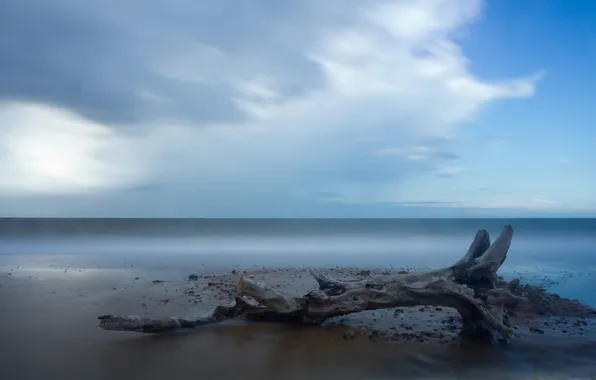 Песок, синева, дерево, берег, водоем, горяга, бревнол
