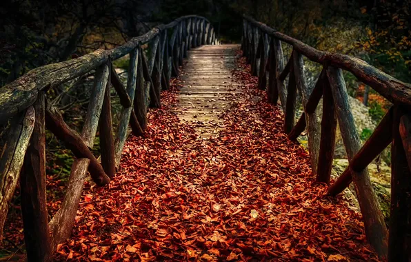 Осень, листья, мост, природа, время года