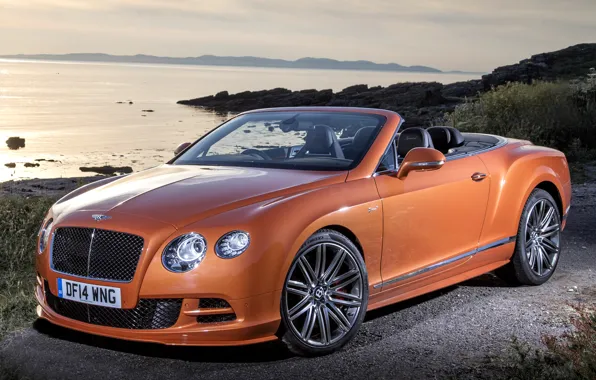 Continental, bentley, speed, uk-spec_1