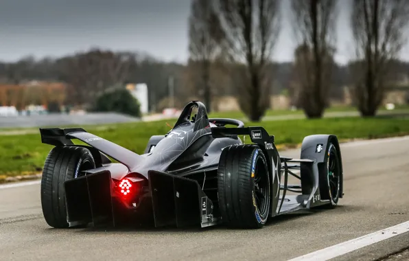 Вид сзади, 2018, Formula E, DS Automobiles, DS E-Tense FE 19