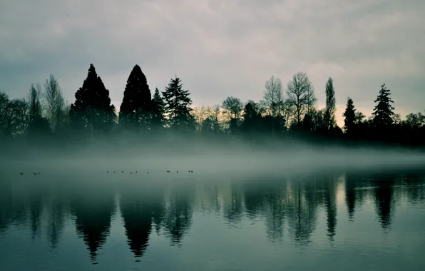 Картинка небо, деревья, природа, туман, река, рассвет, дымка, раннее утро