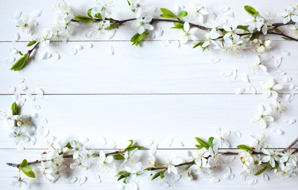 Картинка цветы, фон, весна, яблоня, wood, blossom, flowers, spring