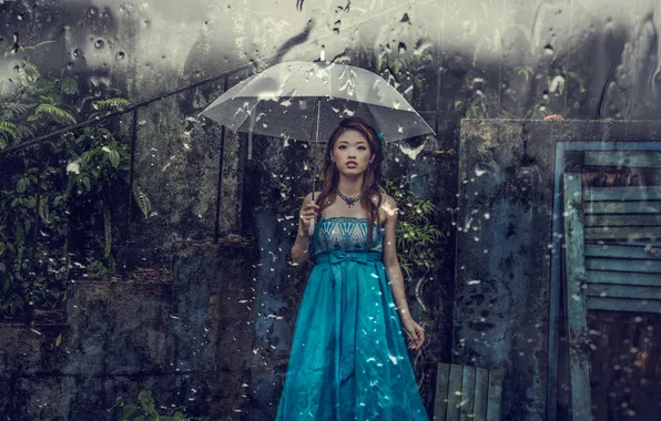 Девушка, дождь, зонт, азиатка