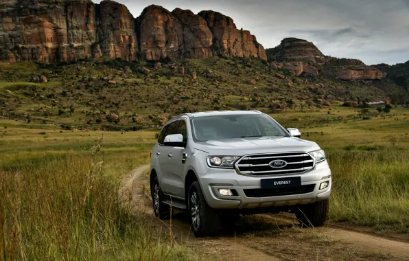 Картинка поле, растительность, Ford, Everest, 4WD, XLT, 2019