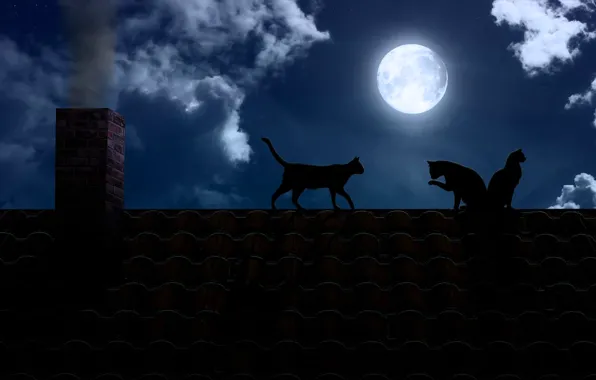 Картинка крыша, кошки, ночь, темнота, луна, труба, полнолуние, черные
