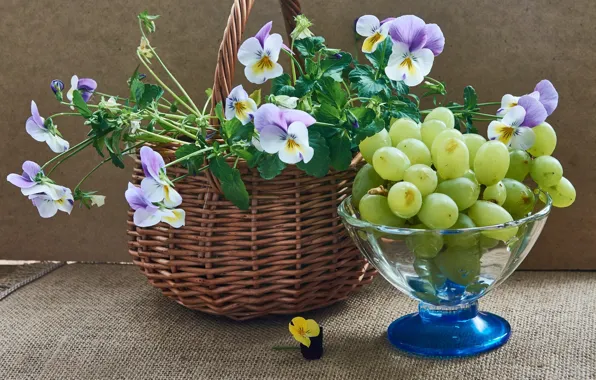 Картинка цветы, виноград, фрукты, натюрморт, корзинка, виола